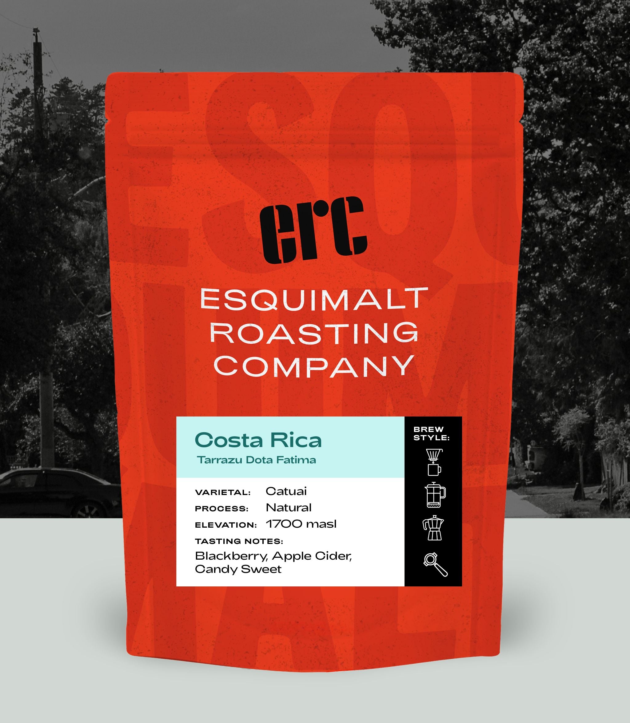 Costa Rica Tarrazu Dota Fatima-Natural