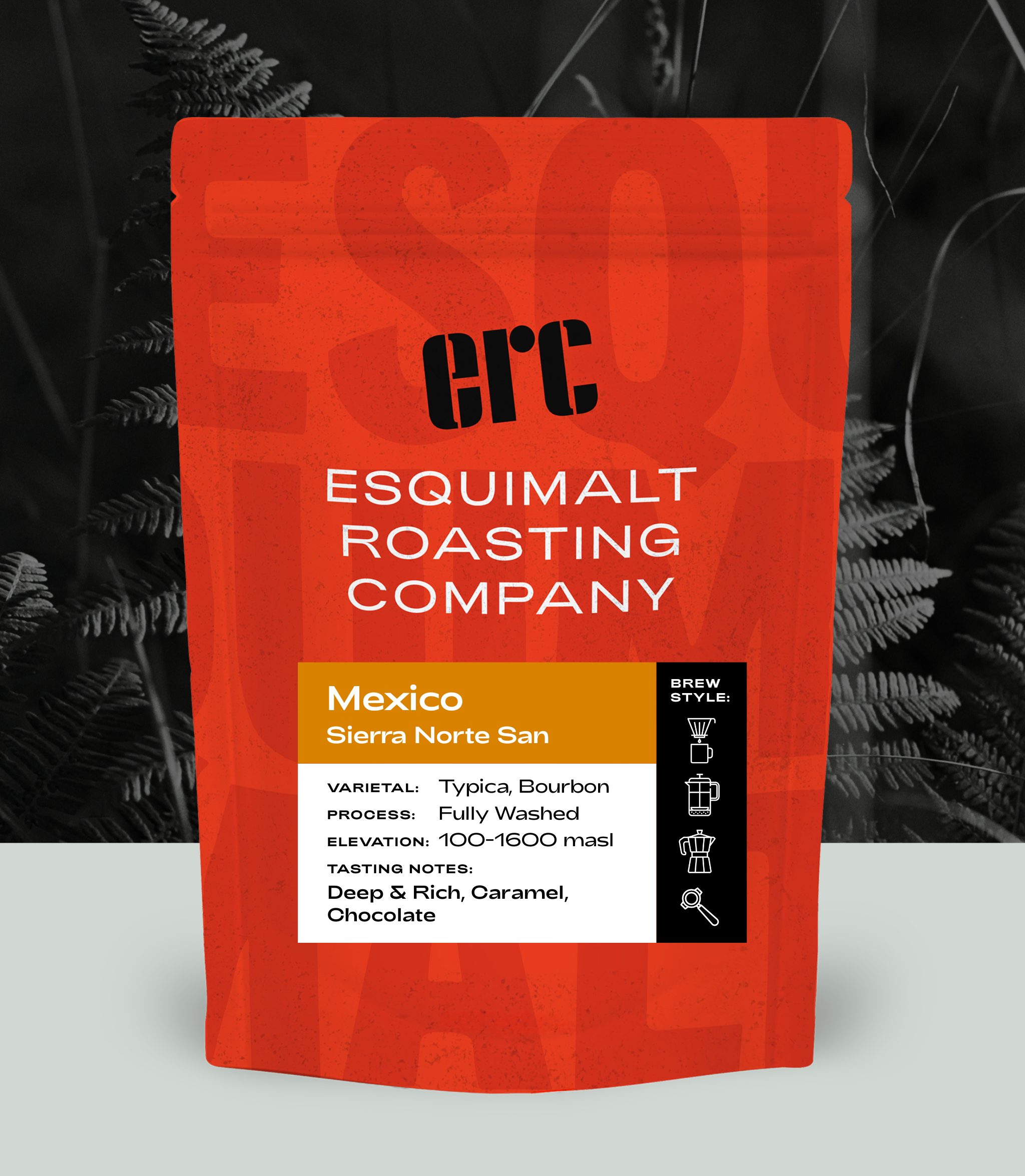 Mexico Sierra Norte San