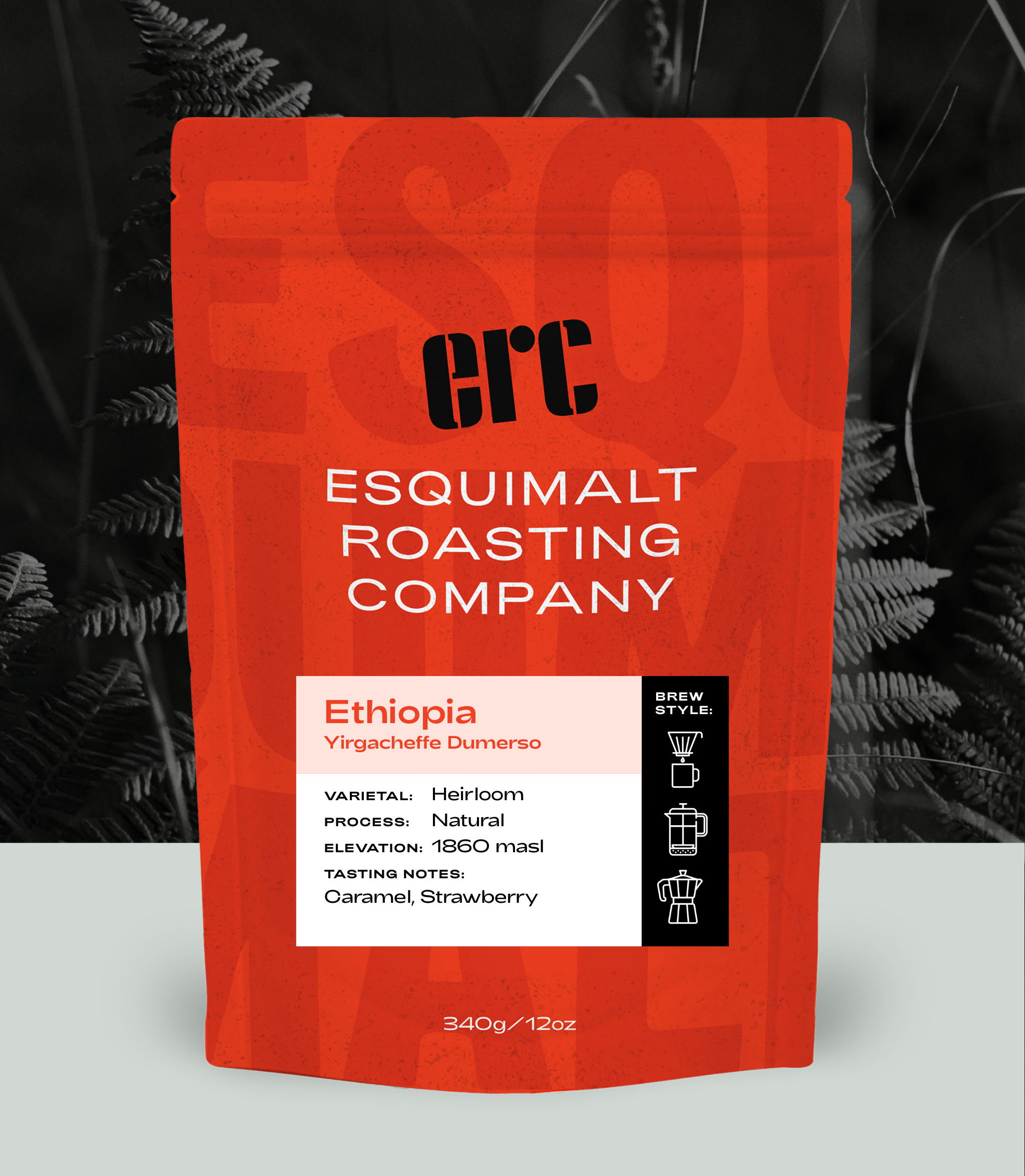 Ethiopia Yirgacheffe Dumerso